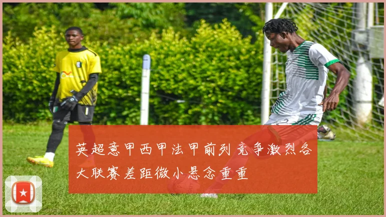 英超意甲西甲法甲前列竞争激烈各大联赛差距微小悬念重重