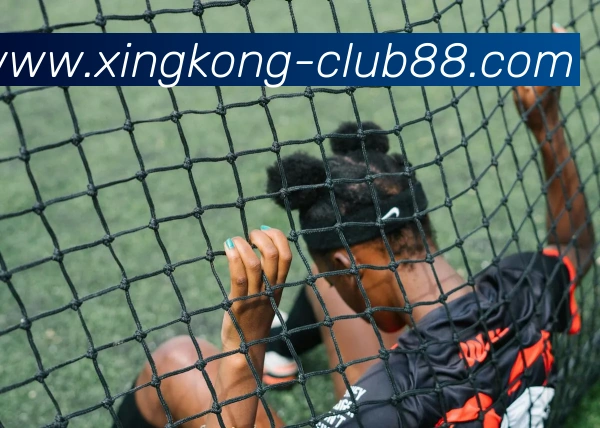 星空娱乐平台生态图